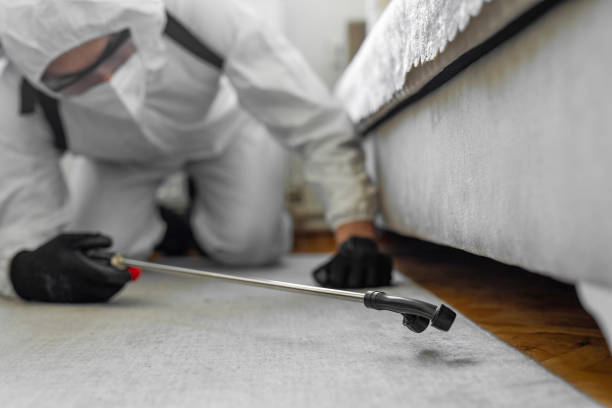 Professional Cockroach Control technician working in Lely Resort, FL