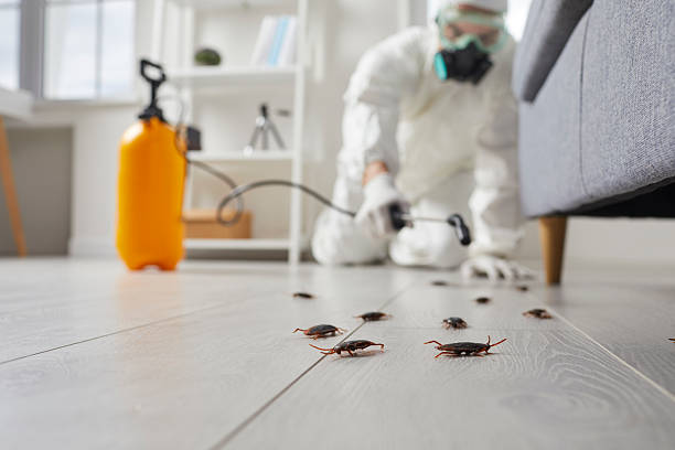 Trusted Fumigation Services service in Lely Resort, FL - Nex Pest Control