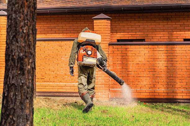 Trusted Rodent Control service in Lely Resort, FL - Nex Pest Control
